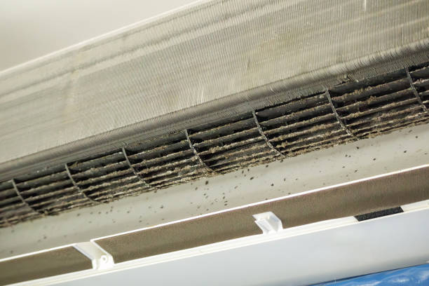 Trusted Redington Shores, FL Airduct Cleaning Experts